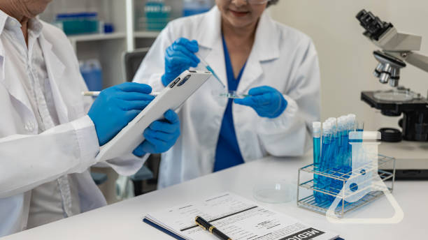 间充质干细胞(MSCs)主要研究的4个重点领域 间充质干细胞(MSCs)主要研究的4个重点领域