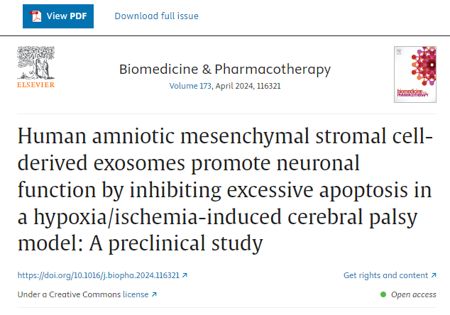 人羊膜间充质干细胞来源的外泌体通过抑制缺氧/缺血诱导的脑瘫模型中的过度细胞凋亡来促进神经元功能：一项临床前研究