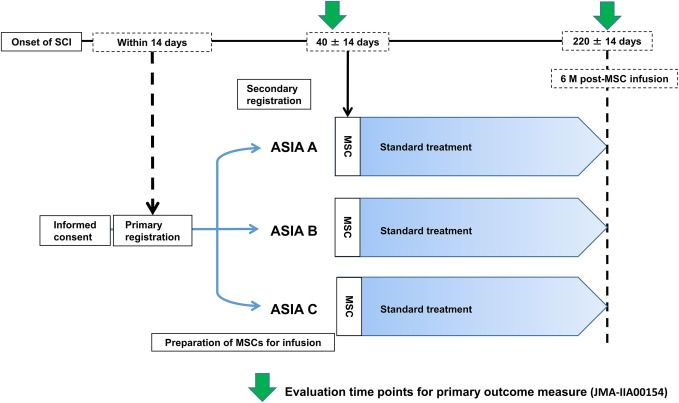 图1：研究流程图