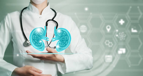 中医药联合干细胞治疗慢性肾脏病的现状与展望