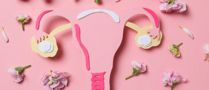 干细胞治疗卵巢早衰：如何实现短期卵巢功能改善到长期卵巢组织的恢复？