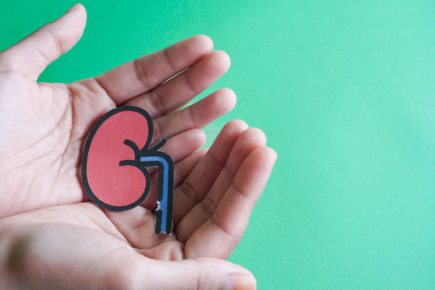 自体vs异体：不同来源的干细胞治疗肾病患者的安全性有区别吗？