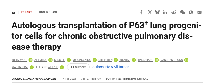 P63 +肺祖细胞自体移植治疗慢性阻塞性肺病