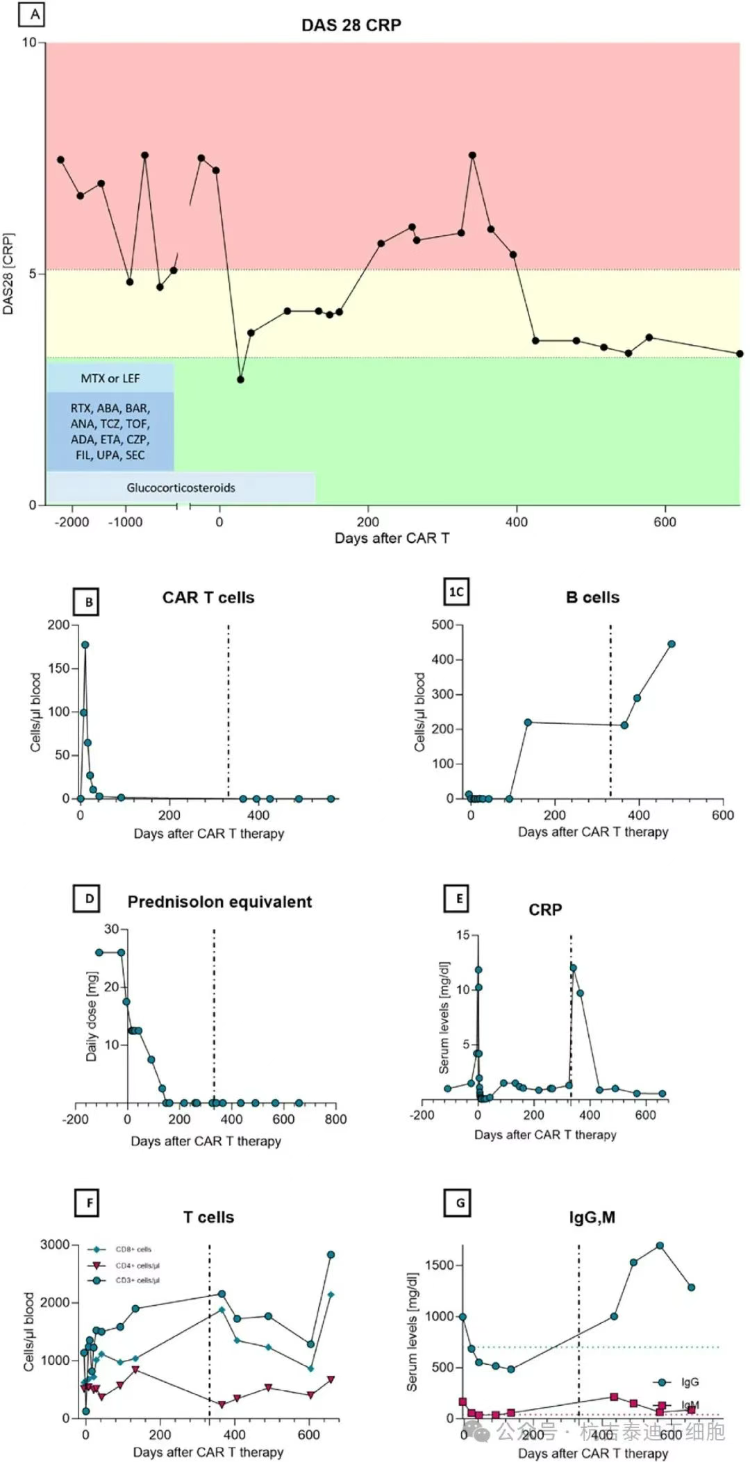 图1：通过DAS28和依次给予的伴随药物测量的CAR-T细胞疗法和HSCT在RA疾病活动性方面的结果