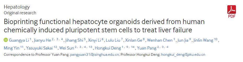 生物打印源自人类化学诱导多能干细胞的功能性肝细胞类器官以治疗肝功能衰竭