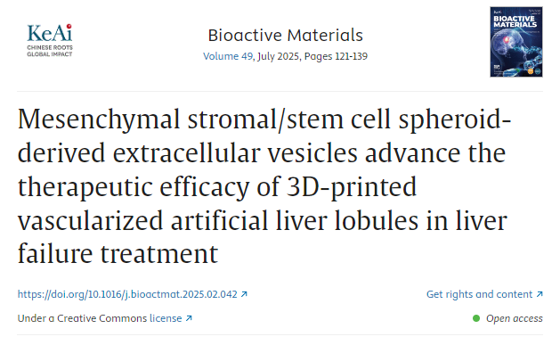 间充质基质/干细胞球体衍生的细胞外囊泡提高3D打印血管化人工肝小叶在肝衰竭治疗中的疗效