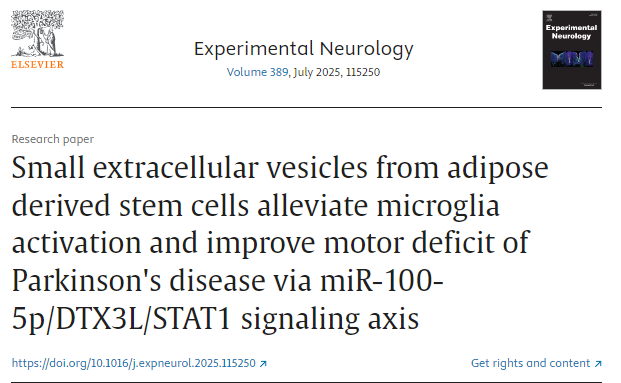 脂肪来源干细胞的小细胞外囊泡通过 miR-100-5p/DTX3L/STAT1 信号轴减轻小胶质细胞活化并改善帕金森病的运动障碍