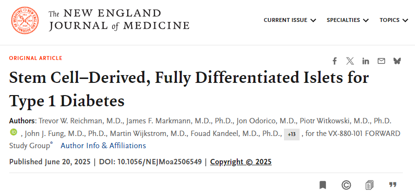 干细胞衍生的完全分化胰岛用于治疗1型糖尿病
