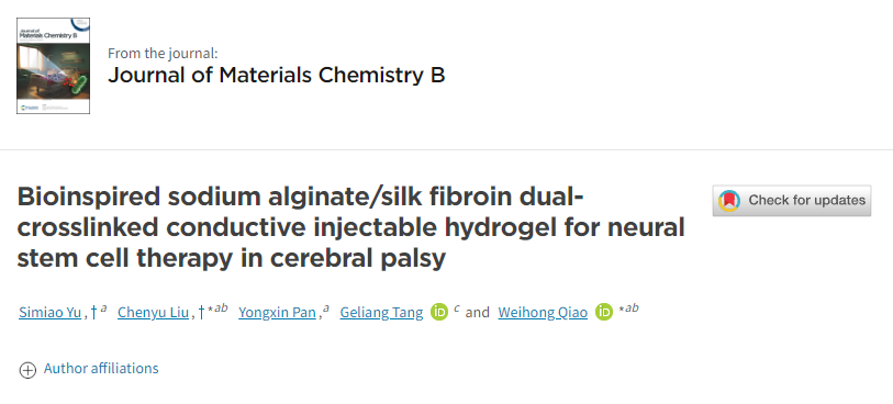 用于脑瘫神经干细胞治疗的仿生海藻酸钠/丝素蛋白双交联导电注射水凝胶 用于脑瘫神经干细胞治疗的仿生海藻酸钠/丝素蛋白双交联导电注射水凝胶