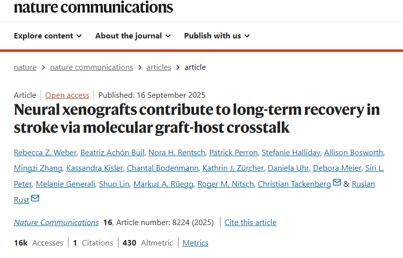 神经异种移植通过分子移植物-宿主相互作用促进中风后的长期康复