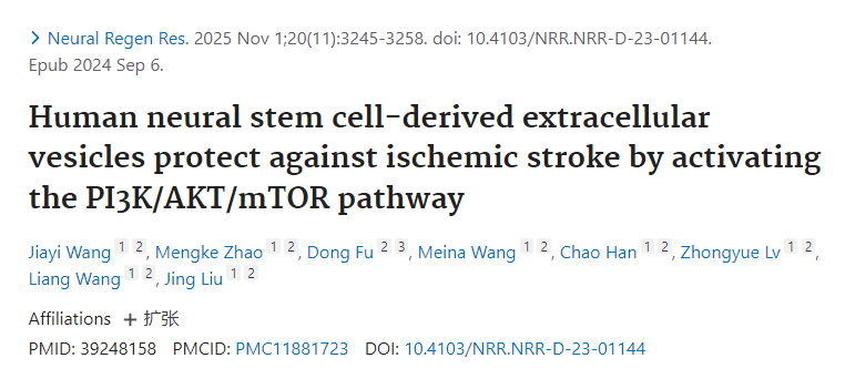 人类神经干细胞来源的细胞外囊泡通过激活PI3K/AKT/mTOR通路发挥抗缺血性卒中的保护作用