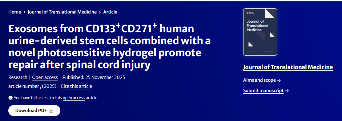 来自CD133 
+CD271+人尿源干细胞的外泌体与新型光敏水凝胶联合使用可促进脊髓损伤后的修复