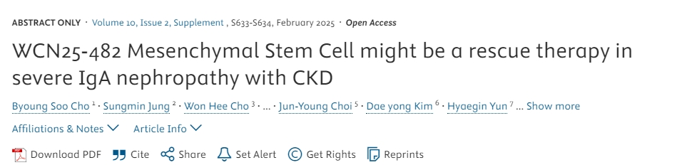 WCN25-482间充质干细胞可能成为 CKD严重IgA肾病的急救疗法