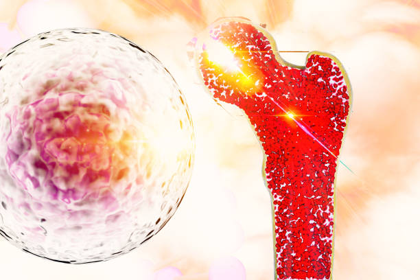 干细胞移植对捐献者身体有害吗?2025年医学真相大揭秘(附捐献者自述) 干细胞移植对捐献者身体有害吗?2025年医学真相大揭秘(附捐献者自述)