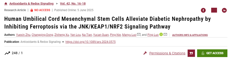 人脐带间充质干细胞通过JNK/KEAP1/NRF2信号通路抑制铁死亡缓解糖尿病肾病