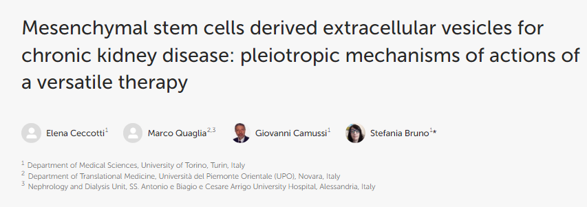 间充质干细胞衍生的细胞外囊泡用于治疗慢性肾脏病：多功能疗法的多效作用机制