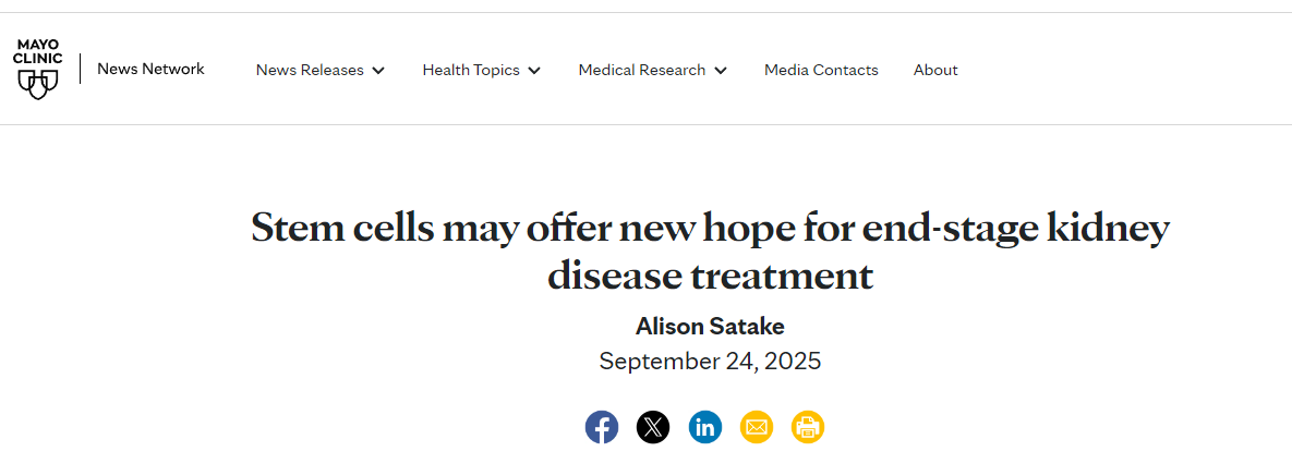 干细胞疗法或将为终末期肾病治疗带来新的希望