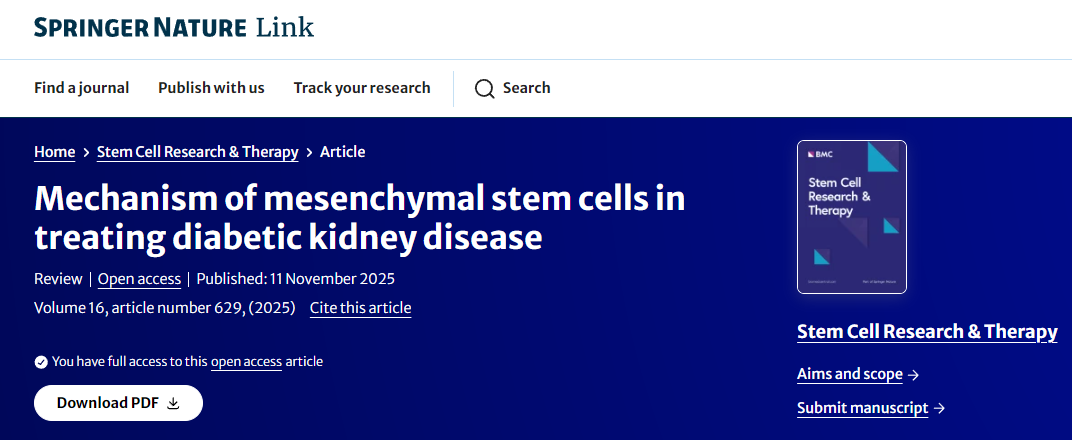 间充质干细胞治疗糖尿病肾病的机制