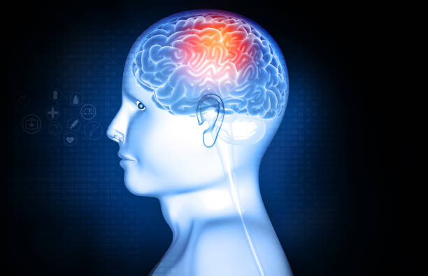 细胞疗法治疗创伤脑损伤：机制、临床突破与未来展望