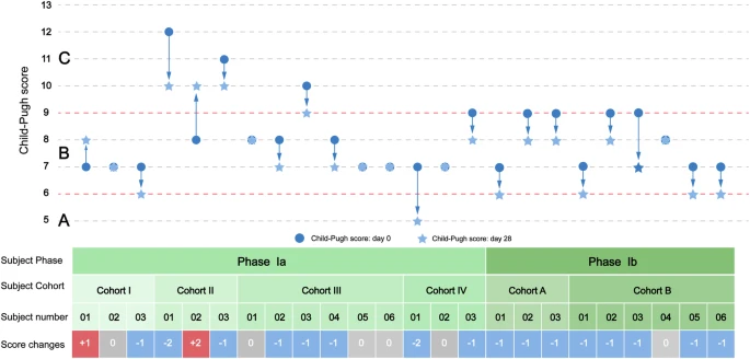 图2：从基线到第28天，个人Child-Pugh评分的变化。