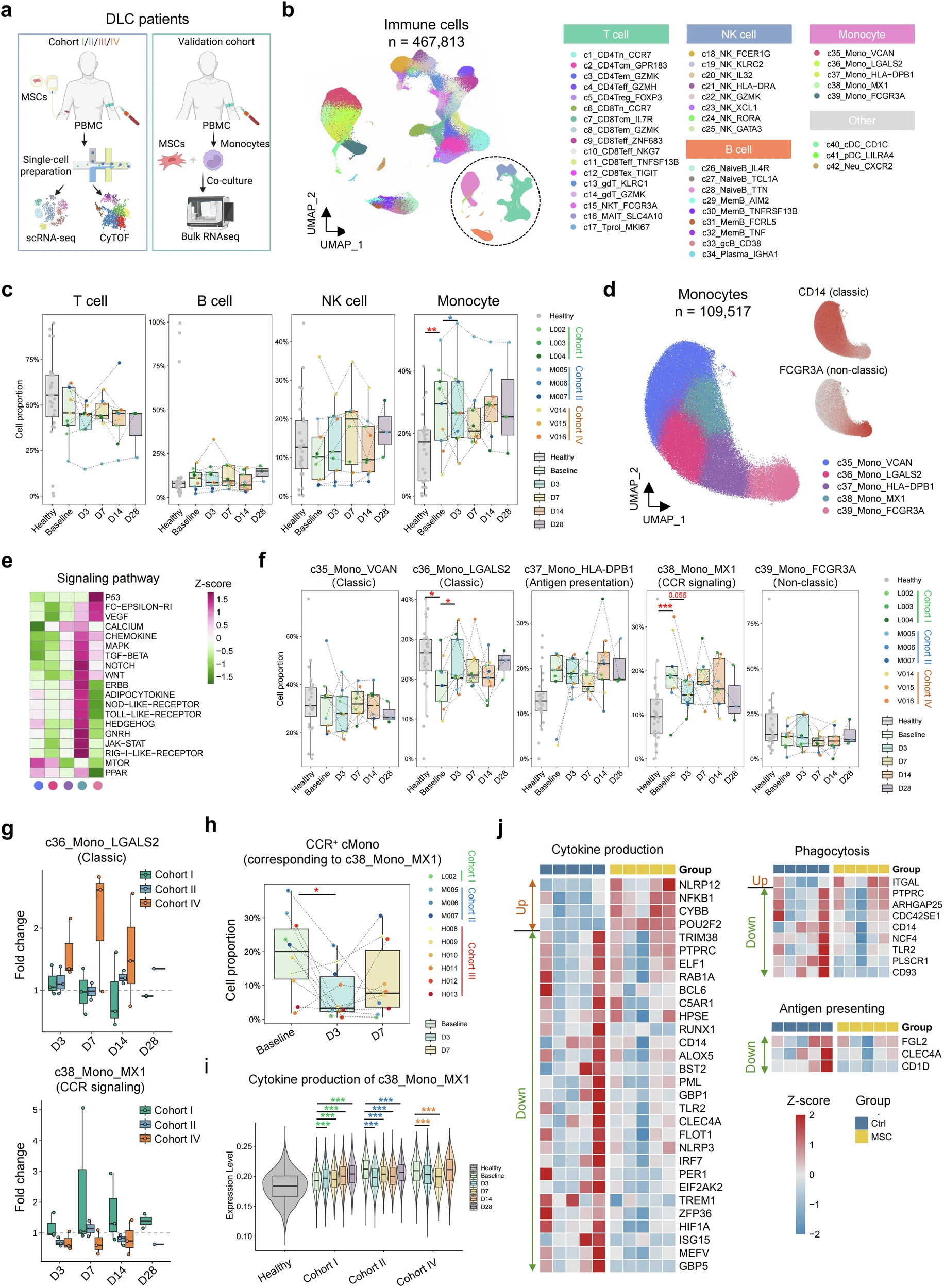 图3：MSC治疗下DLC患者的动态单细胞景观