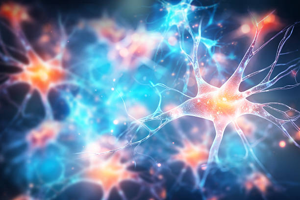 神经干细胞移植能治疗哪些疾病？包含帕金森、脊髓损伤等6大适应症