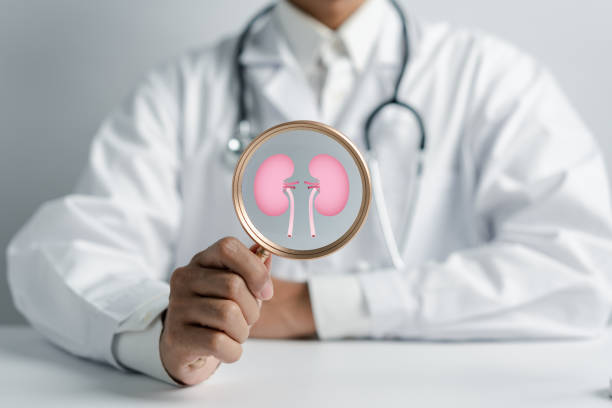 动脉内输注间充质干细胞治疗糖尿病肾病，肾功能衰退显著减缓