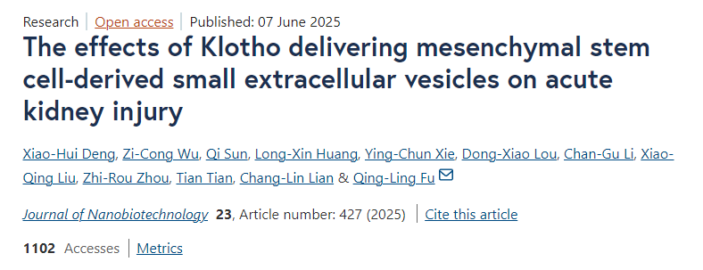 Klotho递送间充质干细胞来源的小细胞外囊泡对急性肾损伤的影响