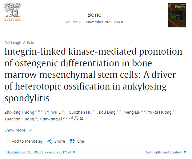 整合素连接激酶介导促进骨髓间充质干细胞成骨分化：强直性脊柱炎异位骨化的驱动因素