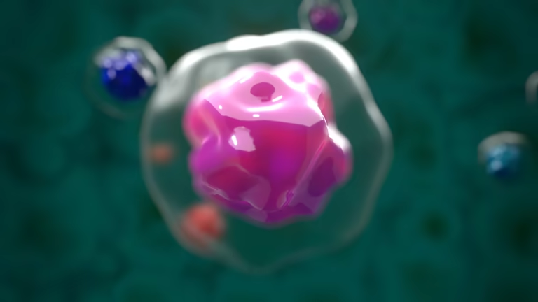 重磅解读:干细胞如何修复1型糖尿病?3大核心作用机制全解析 重磅解读:干细胞如何修复1型糖尿病?3大核心作用机制全解析