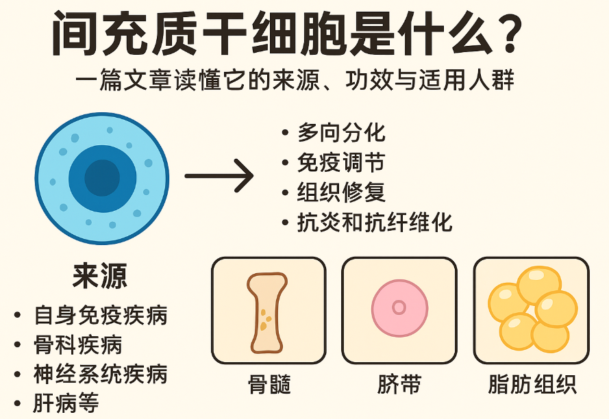 间充质干细胞是什么？一篇文章读懂它的来源、功效与适用人群