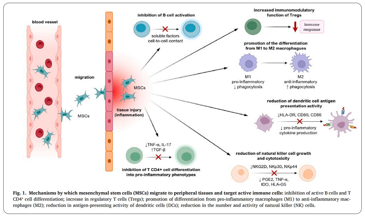 红斑狼疮临床试验