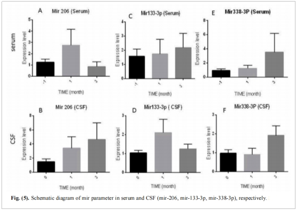图3：血清和脑脊液中miRNA参数的示意图(mir-206、mir-133-3p、mir-338-3p)