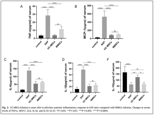 图2：与BMSCS相比，UC-MSCs的输注更能缓解SAP小鼠的系统性炎症反应。