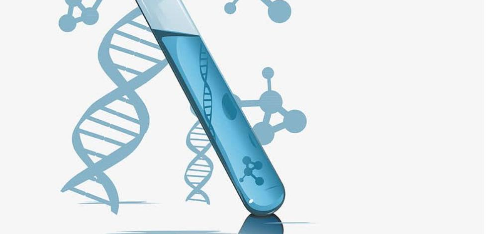 干细胞治疗安全吗？20年临床数据揭秘静脉输注间充质干细胞的安全性