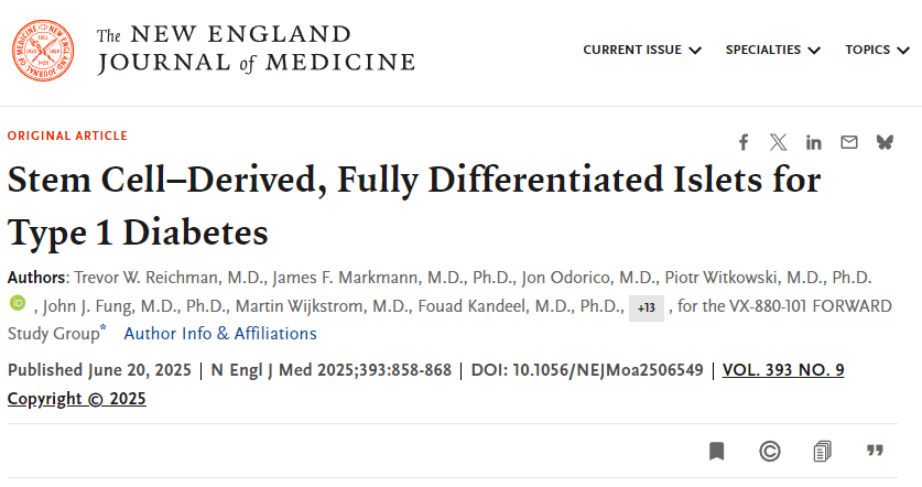 干细胞来源的完全分化胰岛用于1型糖尿病治疗