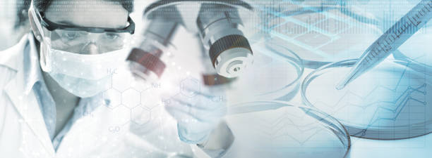 干细胞治疗2型糖尿病的前景:从临床突破看治愈希望 干细胞治疗2型糖尿病的前景:从临床突破看治愈希望