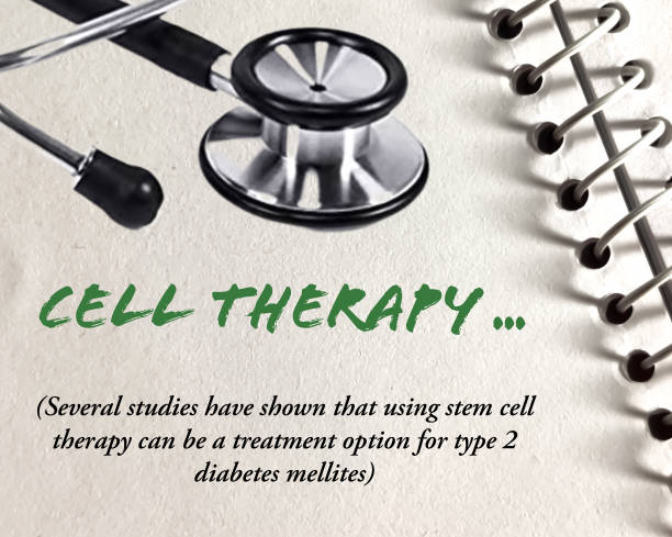 干细胞治疗2型糖尿病：真的能够改善胰岛β细胞功能吗？