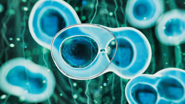 什么是干细胞疗法治疗脑瘫？