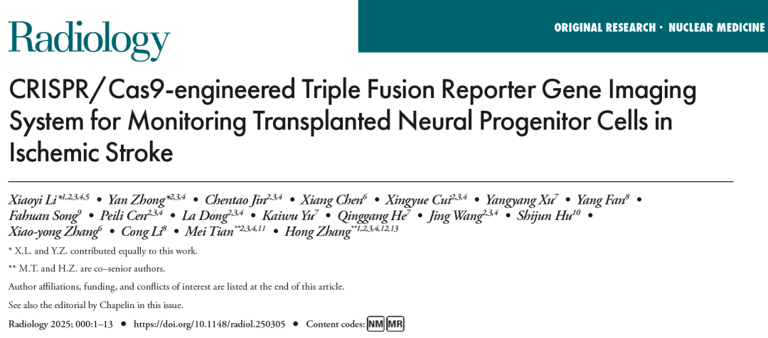 利用 CRISPR/Cas9 技术构建的三融合报告基因成像系统监测缺血性中风中移植的神经祖细胞 利用 CRISPR/Cas9 技术构建的三融合报告基因成像系统监测缺血性中风中移植的神经祖细胞