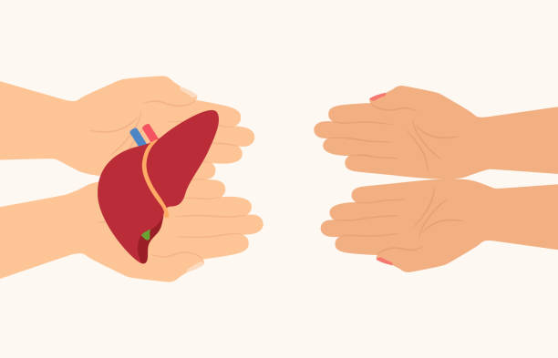 干细胞治疗肝硬化现不现实？80项临床数据告诉你答案