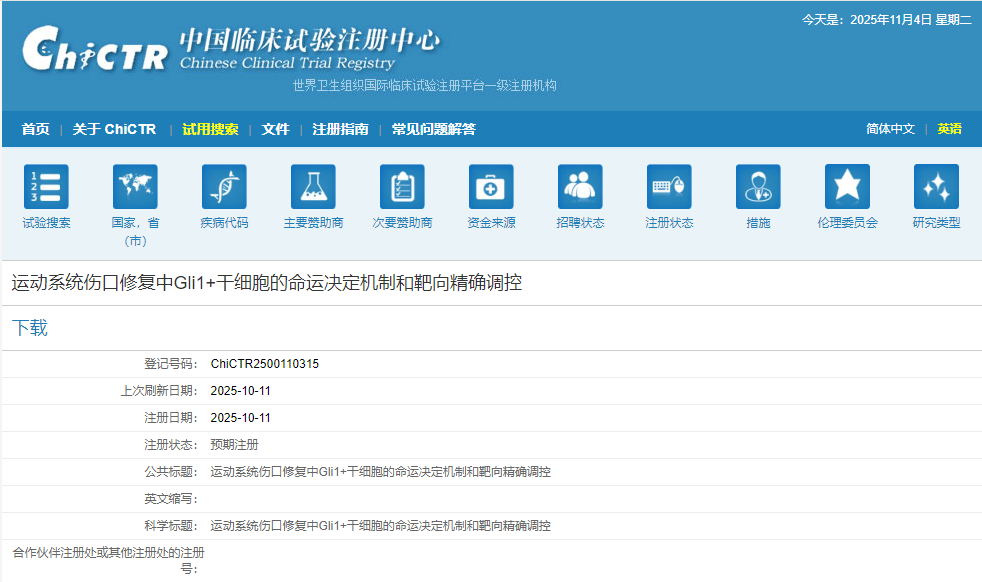 运动系统伤口修复中Gli1+干细胞的命运决定机制和靶向精确调控 运动系统伤口修复中Gli1+干细胞的命运决定机制和靶向精确调控