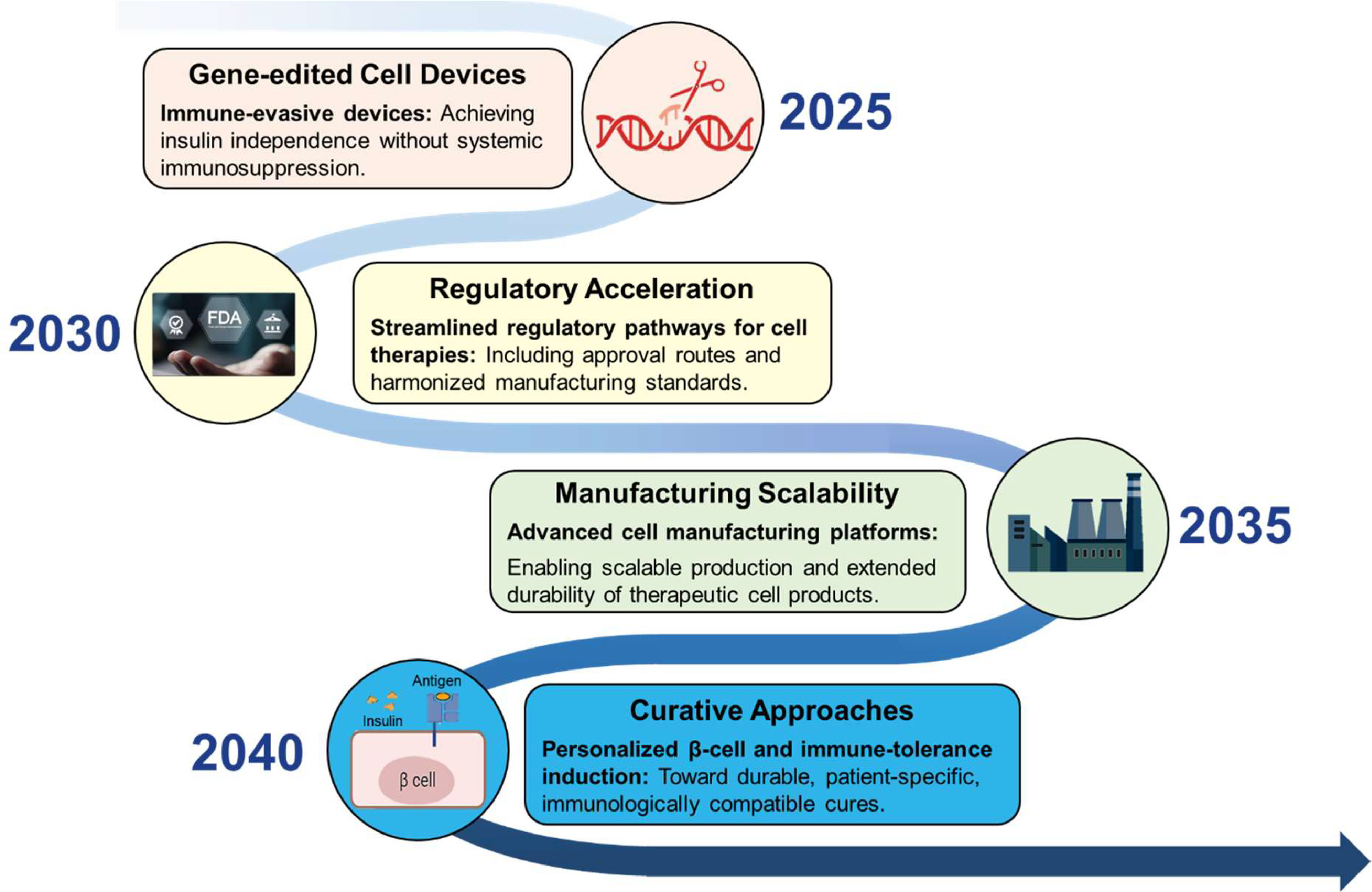 图4:干细胞治疗糖尿病的路线图(2025-2040年)。 图4:干细胞治疗糖尿病的路线图(2025-2040年)。