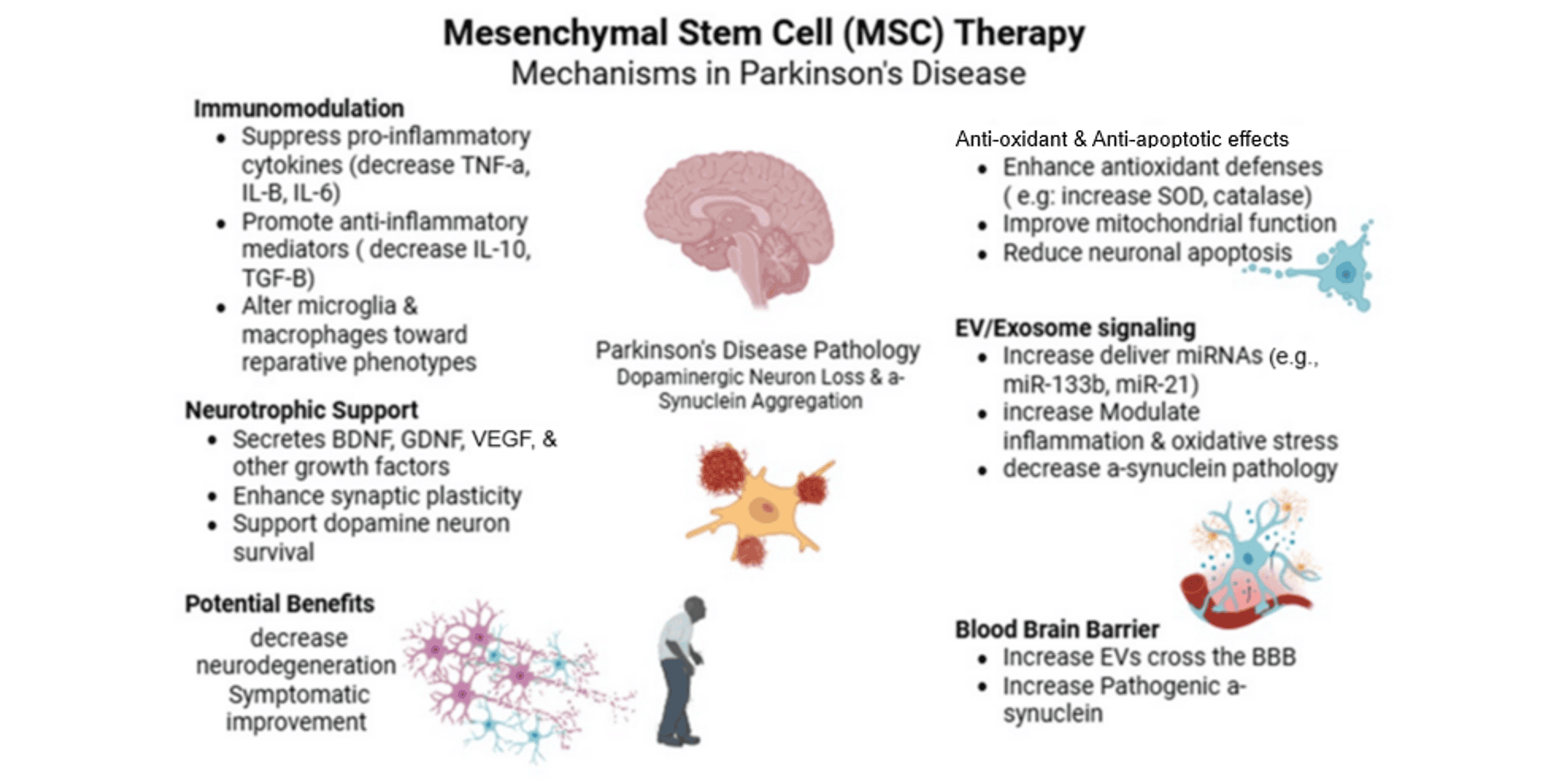 图2:间充质干细胞治疗帕金森病的机制 图2:间充质干细胞治疗帕金森病的机制