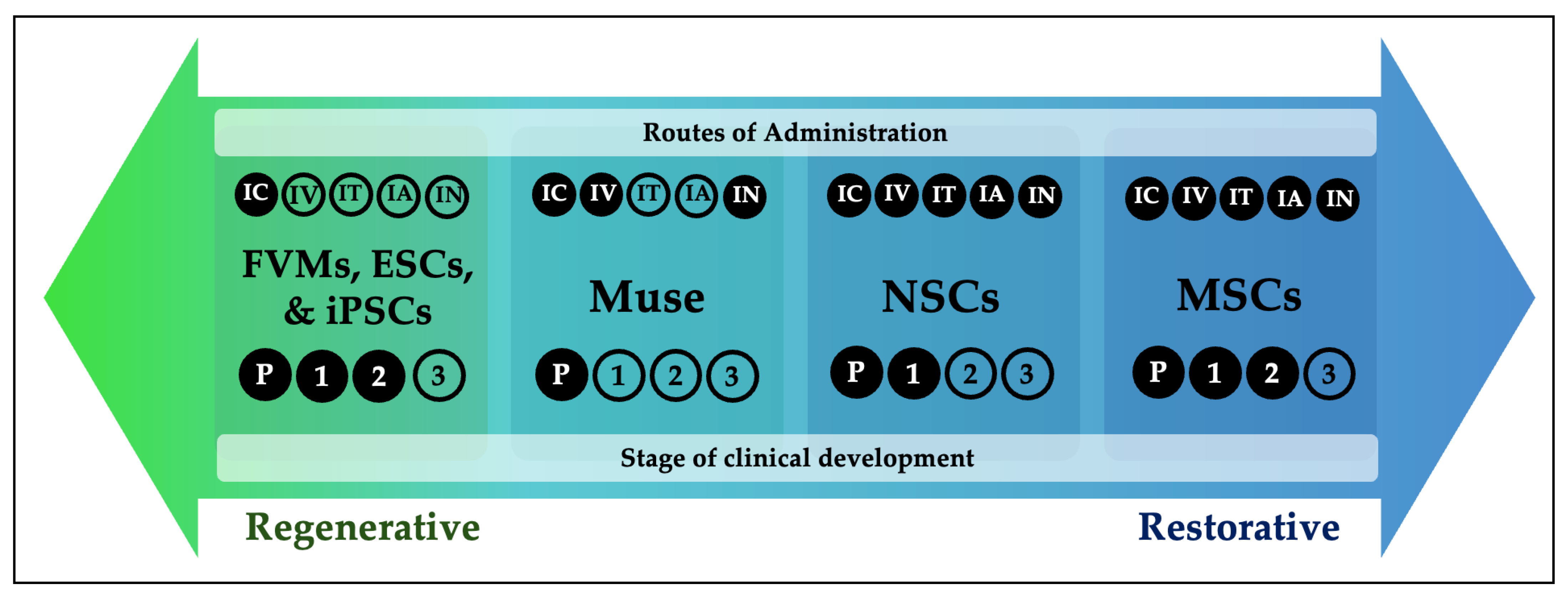 图1：帕金森病干细胞疗法的再生-修复概念连续体。帕金森病干细胞疗法的概念可以理解为一个从以再生为主到以修复为主的连续体。图中展示了每种细胞类型的给药途径和临床开发阶段。