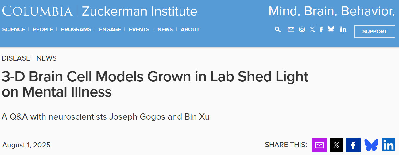 实验室培养的三维脑细胞模型揭示精神疾病的奥秘 实验室培养的三维脑细胞模型揭示精神疾病的奥秘