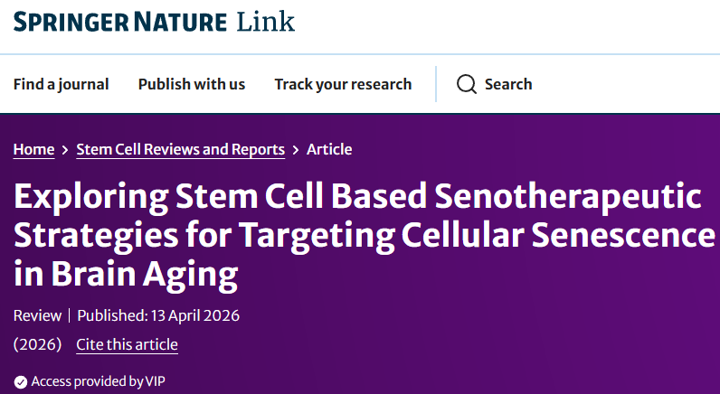 修复血脑屏障、清除炎症循环：干细胞“无细胞疗法”正重新定义大脑抗衰方案