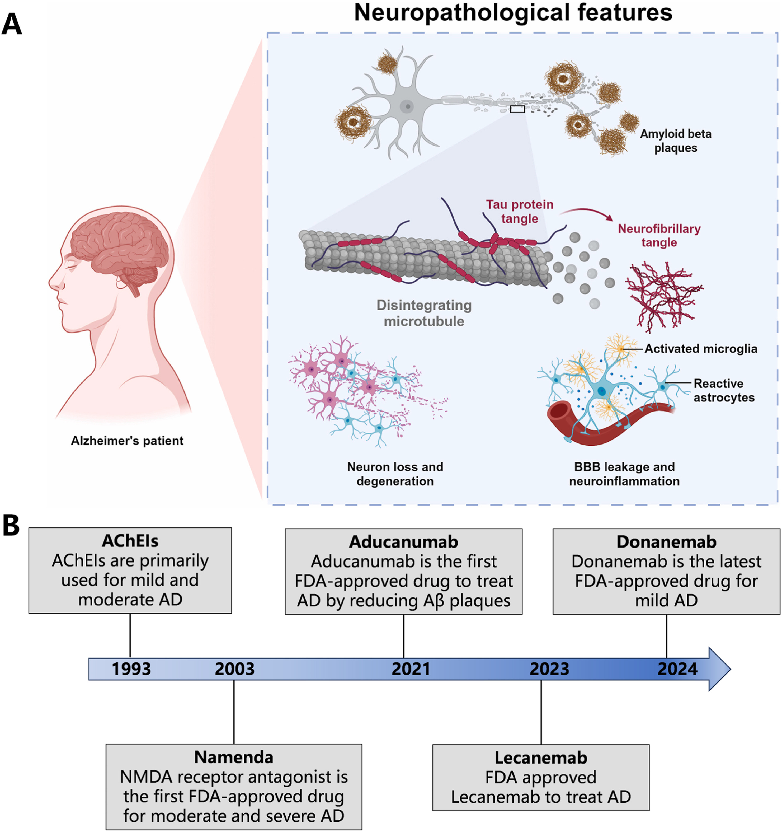 图1说明：图1展示了阿尔茨海默病的神经病理学特征以及AD治疗药物上市审批时间线。（左半部分为AD大脑典型病理改变示意图，右半部分为1990年至今主要AD药物获批与撤市时间轴。