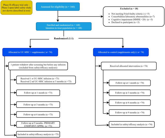 图1-脐带间充质干细胞治疗衰弱II期试验CONSORT流程图