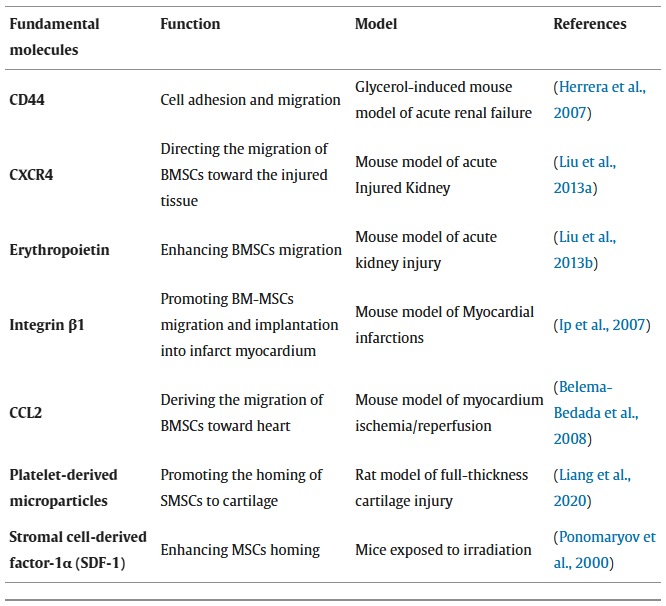图4：MSCs对T淋巴细胞的多模式免疫调节机制。MSCs通过多种接触依赖性和旁分泌介导的途径发挥强大的免疫调节作用。